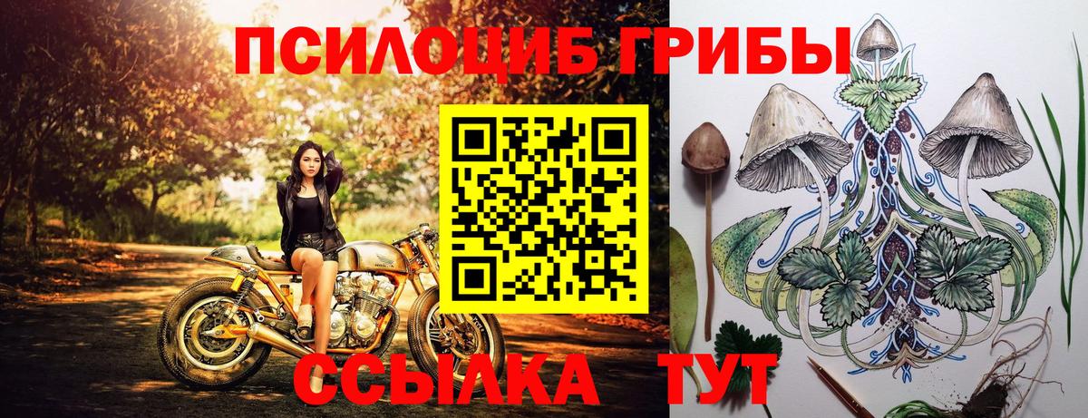 Псилоцибиновые грибы прущие грибы  Вход с VPN  Муравленко 