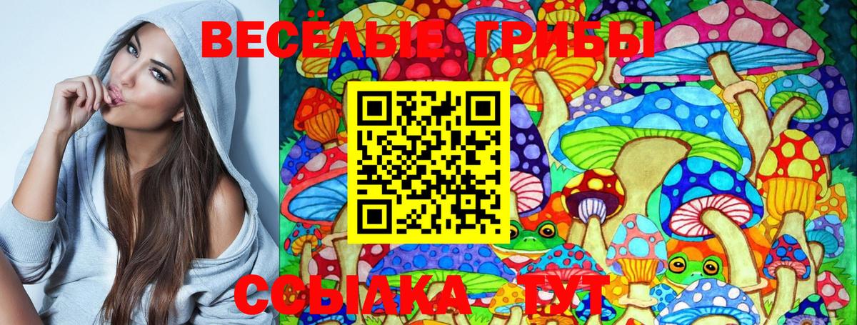 Галлюциногенные грибы Cubensis Муравленко